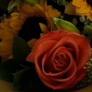 Meet your Posher, Linda